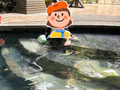 -颐和澜悦欢乐水世界(原颐和温泉城)