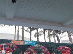 -海合安成都极地海洋公园