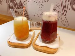 -滚猫咖啡·猫咖·猫友好撸猫(未来城店)