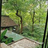杭州探店|绝美龙井茶山生活仪式感餐厅