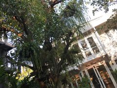 -Fern Forest Cafe