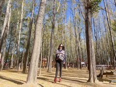 -九城宫草原漫瀚文化旅游区