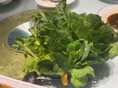 -洪湖家庭农场·团建·露营·会议