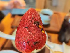 草莓-雪儿钱局泡菜