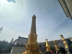 -五台山风景名胜区