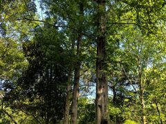 -敬亭山风景名胜区