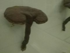 -纽斯洗浴SPA(三墩店)