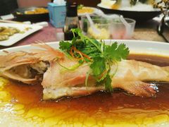 -欢乐海岸美食联盟