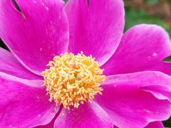 -金堂县云顶石城风景区