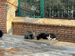 -北京西山国家森林公园