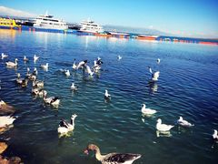 -青海湖国家重点风景名胜区