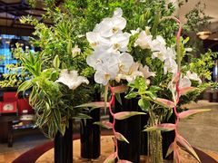 -东莞松山湖凯悦酒店