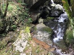 -藏龙百瀑风景区