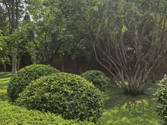 -洛阳周公庙博物馆