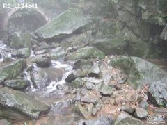 -藏龙百瀑风景区