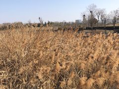 -郑东新区龙湖公共艺术中心