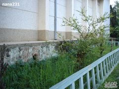 -中央革命根据地历史博物馆