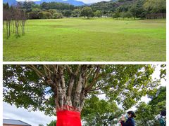 -福建鲤鱼洲酒店