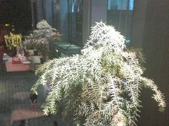 -大拙里·精致融合菜(沙湖桃源国际店)