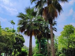 -府河摄影公园