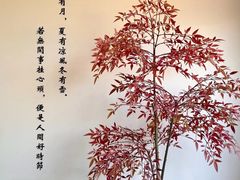 -小茶闲舍·观景商务茶馆(广州塔店)