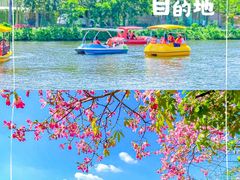 -丹樱生态园