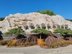 -北京西山国家森林公园