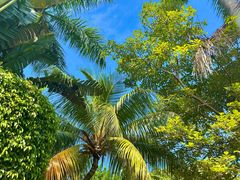 -白沙门生态公园