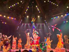 -奥兰多迪士尼动物王国乐园