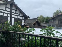 -星巴克臻选(成都宽窄巷子店)