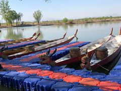 -东方巨龟苑景区