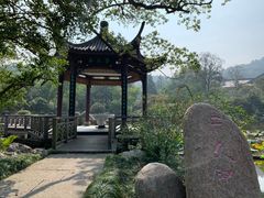 -杭州雅谷泉山庄酒店-餐厅