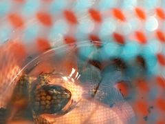 -碓臼峪自然风景区