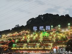 -枇杷园食为鲜火锅(南山店)