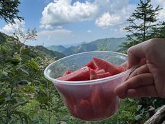 -东白山