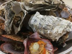 蒸海鲜拼盘-北方饺子王·海肠捞饭·海鲜锅(山大店)