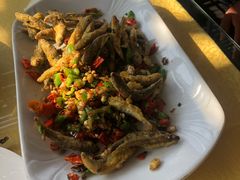 -姐妹食尚朴宿