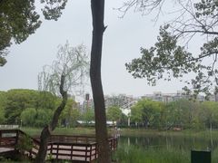 -新江湾城公园