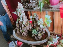 -呼吸森林·生态农庄农家乐私房菜