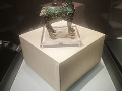 -张掖市博物馆