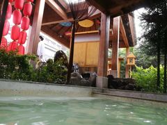 -汉拿山温泉度假酒店