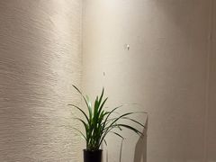 -荷风细雨·中国茶宴(世纪大道店)