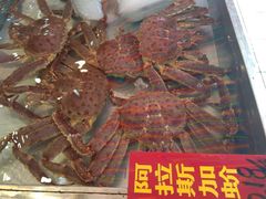 -湛江渔港·大排档(乐园路总店)