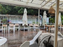 -芭厘·农庄老字号.电饭煲五指毛桃焗鸡