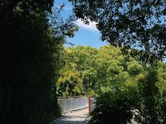 -新江湾城公园