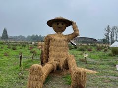 -中国天府农业博览园