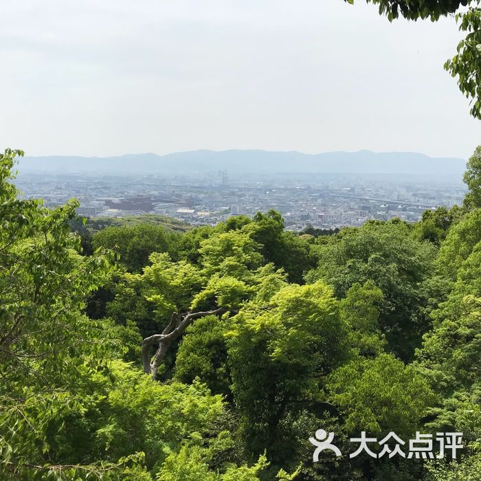 稲荷山 (mt.inari)