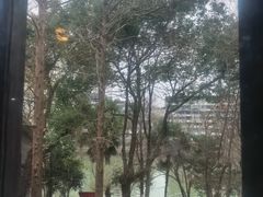 -邈墨茶馆(大兜路1号店)