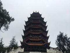 -铁山坪森林公园