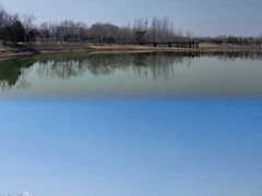 -东郊湿地公园